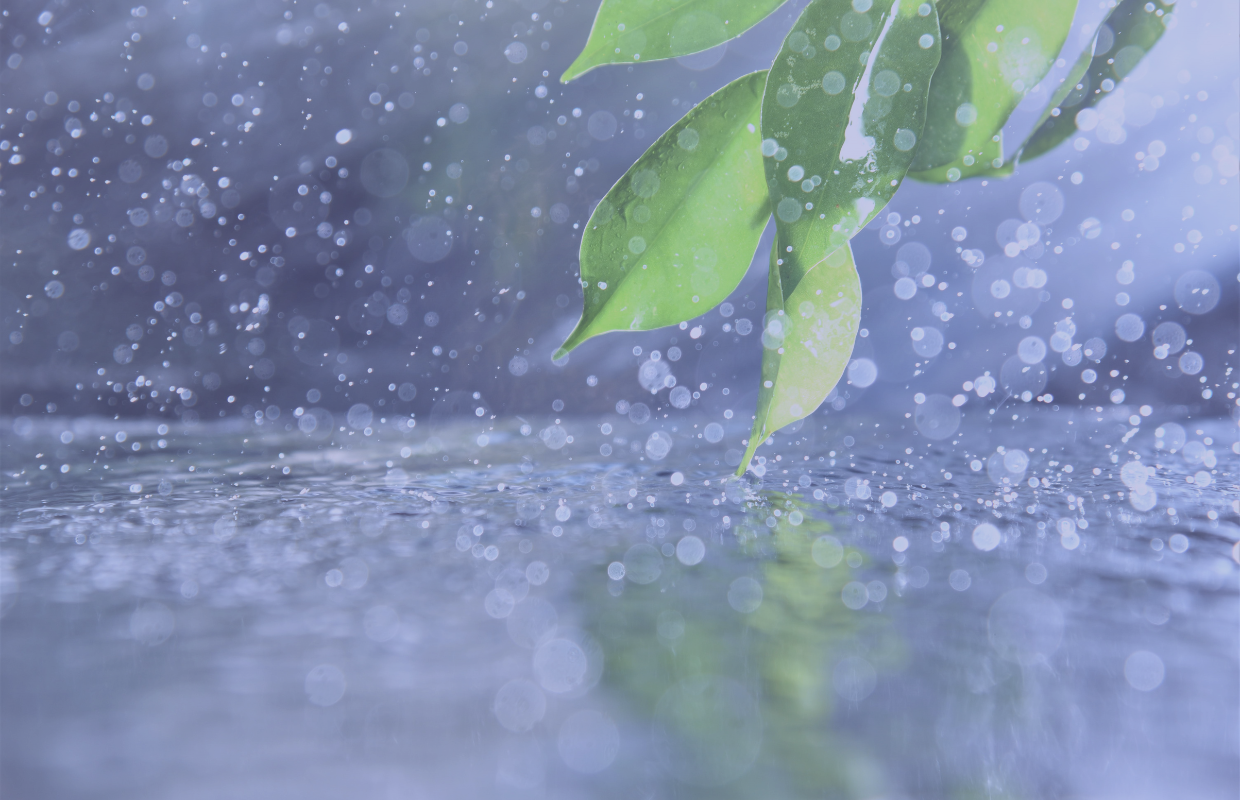 UV Water Disinfection Systems